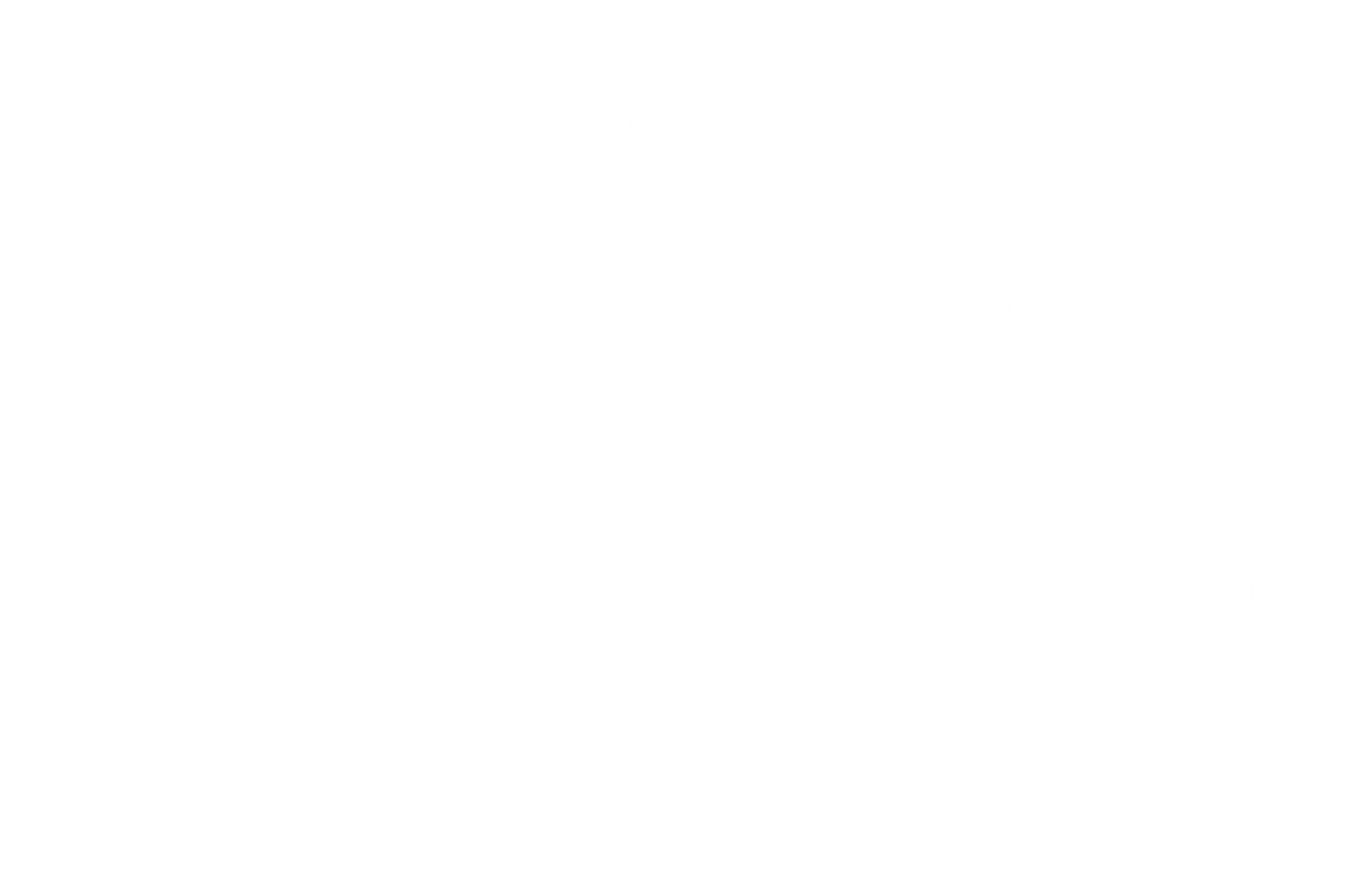 Cargo Sure (1)